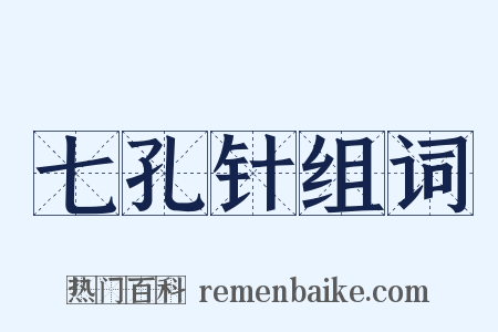 七孔针组词是什么意思的图片